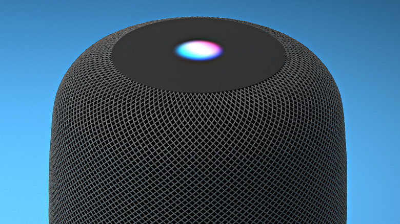 Talking to Siri on a HomePod.