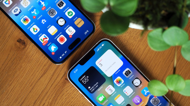 iPhone 14 Pro Max and iPhone 14 Plus