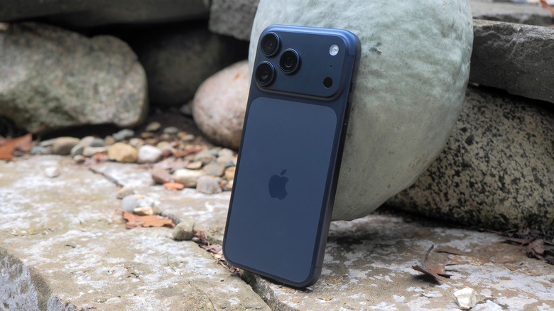 Deep Blue Apple iPhone 17 Pro leaning against gourd