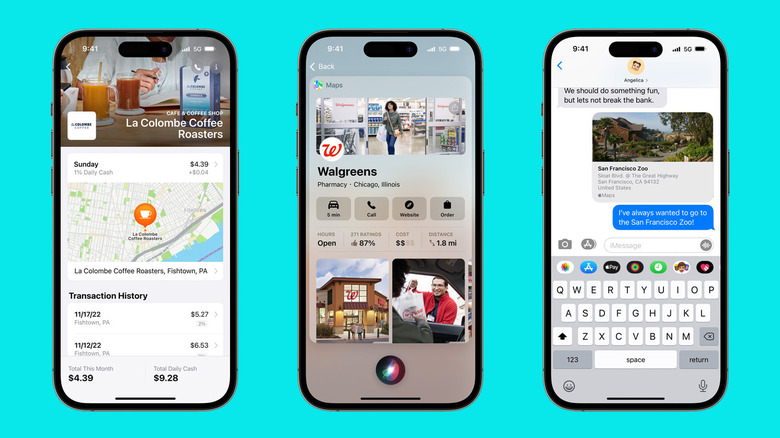 Apple Maps business connect screenshots