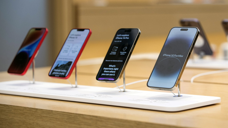 iPhone 14 lineup on display