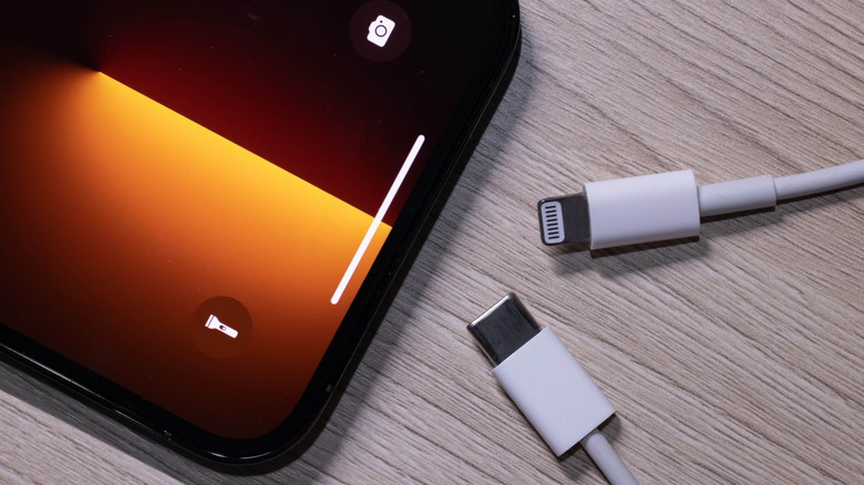 iPhone Lightning USB-C cables