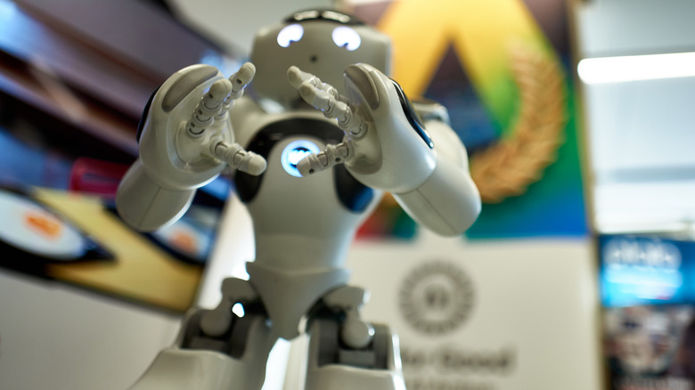 NAo robot by CobiotX