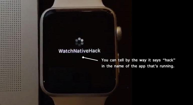 applewatchhack