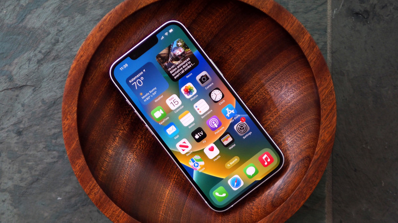 iPhone 14 in wood bowl
