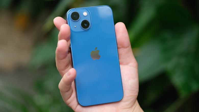 person holding iPhone 13 Mini