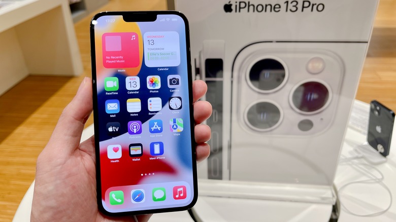 An iPhone 13 Pro in hand.