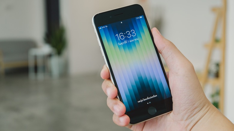 Person holding iPhone SE