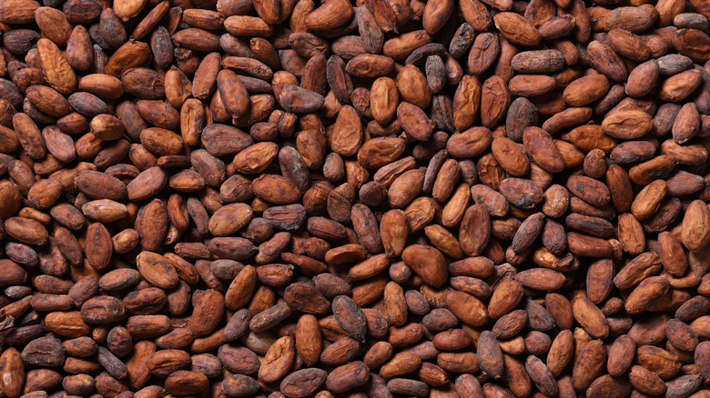 Cocoa Beans
