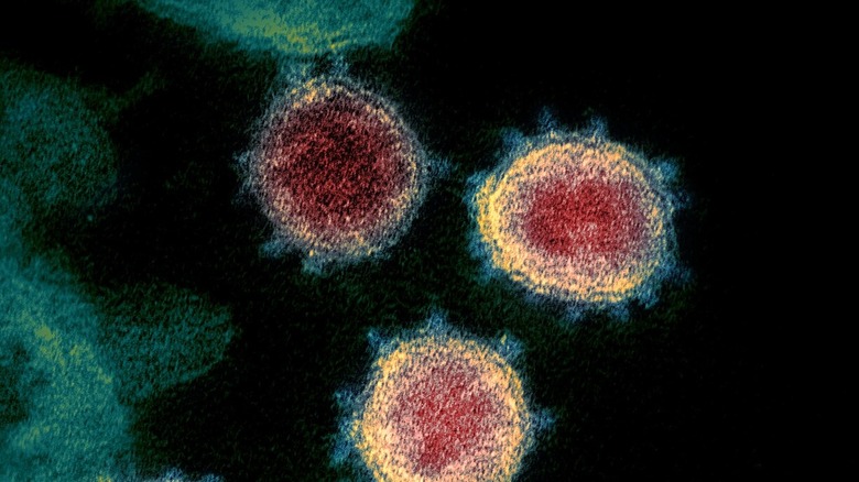 COVID-19 cells