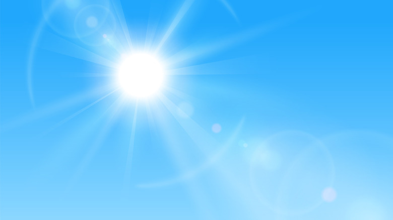 The Sun