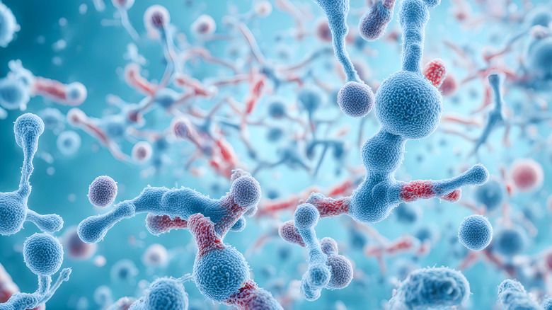There is no link between immunity systems and 5G