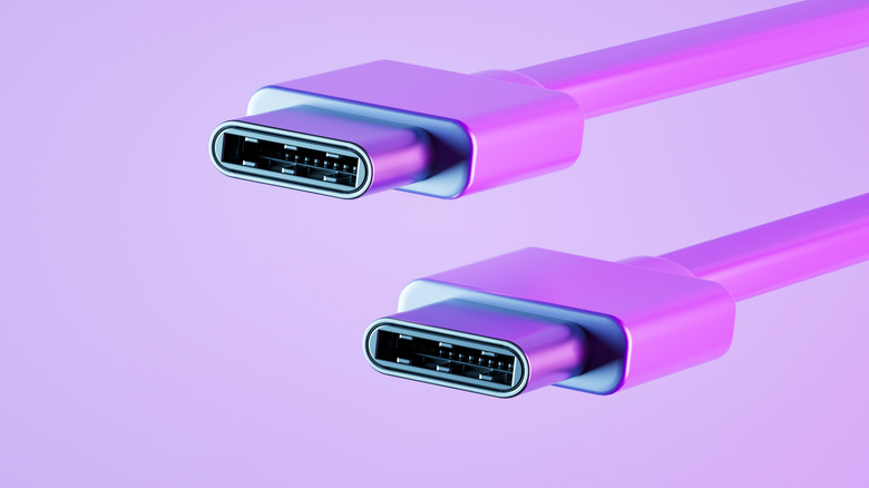 Digital render of USB-C Cable Connectors