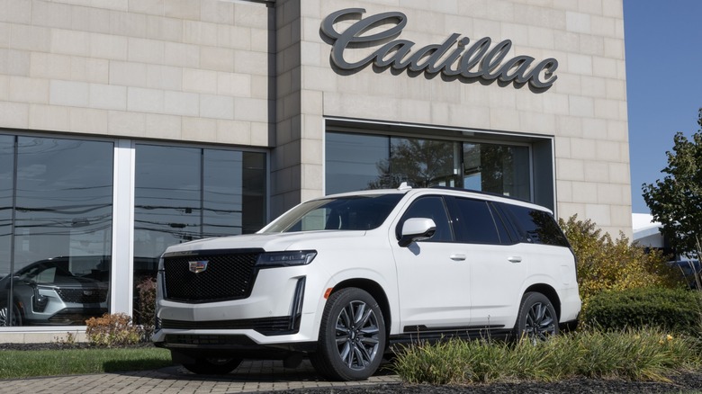The Cadillac Escalade, a truck based SUV, on display at a dealership.