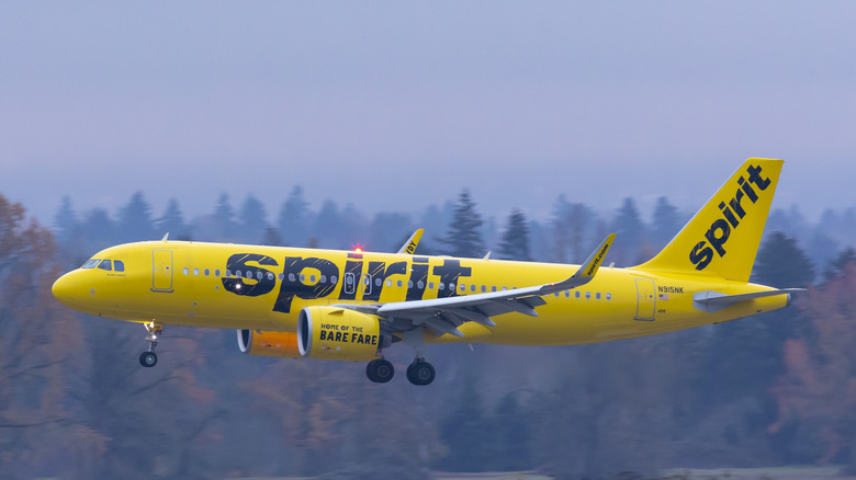 Spirit airline plane preparing to land