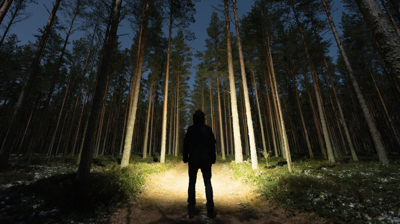 Figure using flashlight beam in forest
