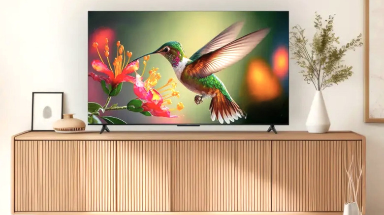 Insignia TV showing a Hummingbird feeding on flower