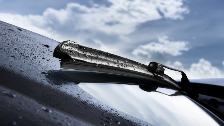 Close-up of a curved wiper blade on a windshield.