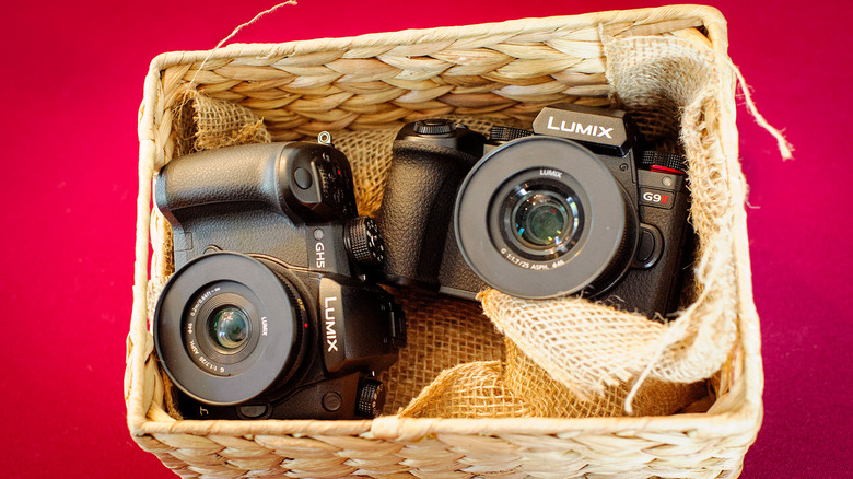 Are Lumix Cameras Good Enough For Professional Photographers?