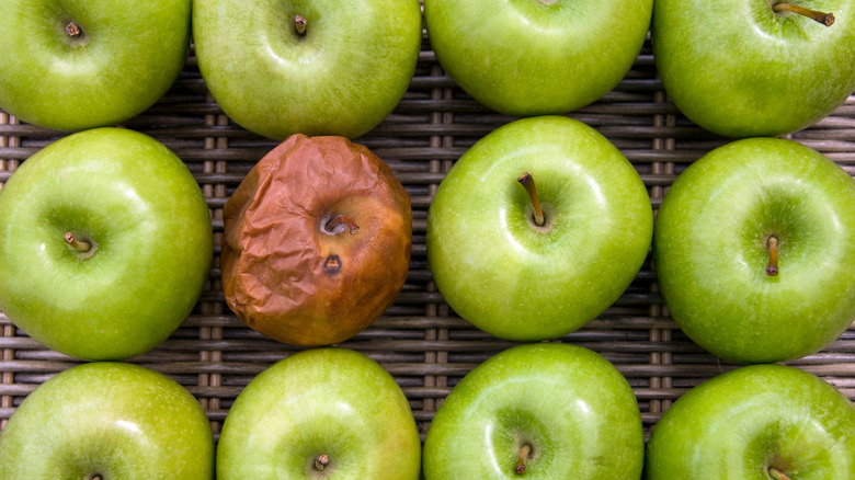 One bad apple among many options