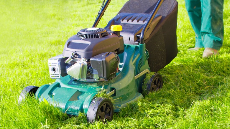 Mulching mower in use