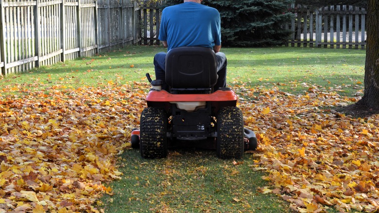 Riding mower cutting a path through leaves and leaving some as mulch