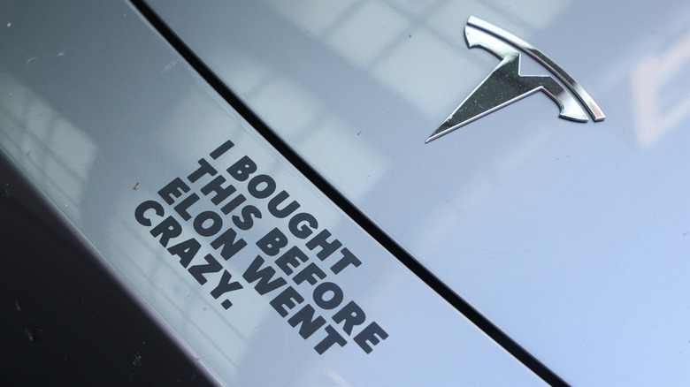 A decal on the hood of a Tesla electric car reads: "I bought this before Elon went crazy."