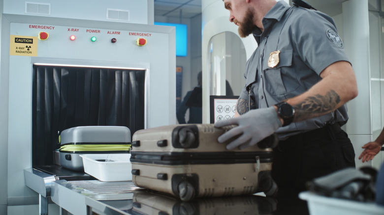TSA Worker Putting Luggage and Personal Items in Trays on Conveyor Belt