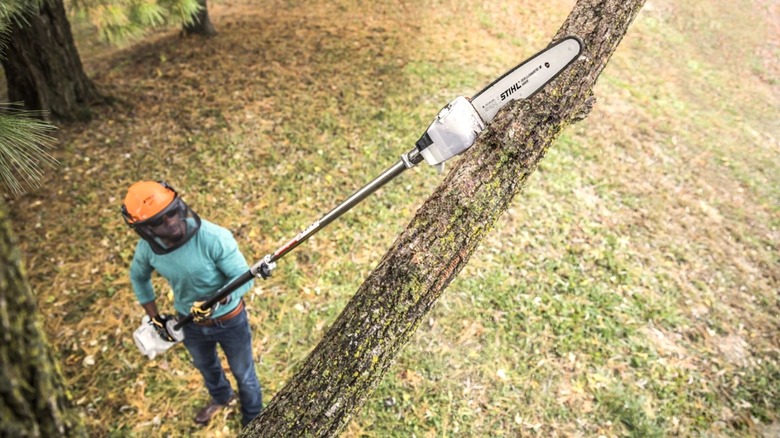 Person using a Stihl pole saw to trim a tree branch