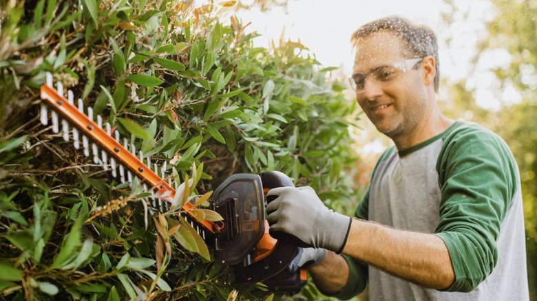 Man using Worx hedge trimmer