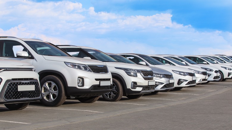 cars in a dealership 