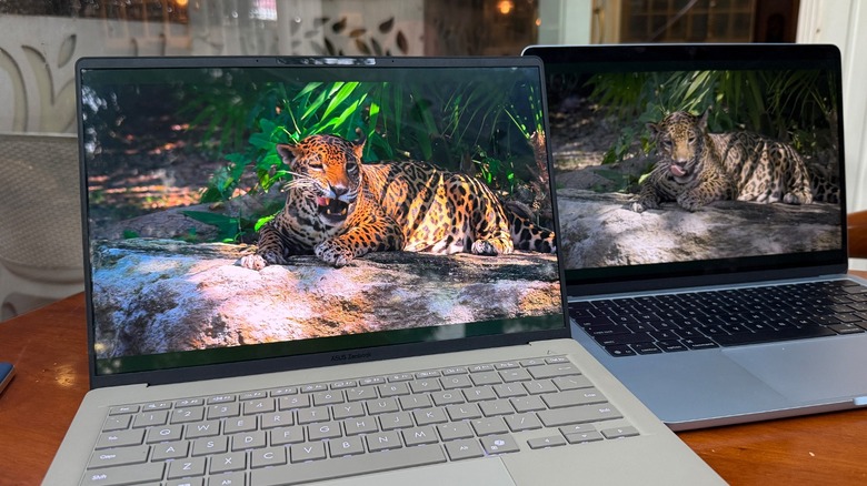 Asus ZenBook A14 and MacBook Air.