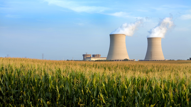 Field with nuclear power plant in the background
