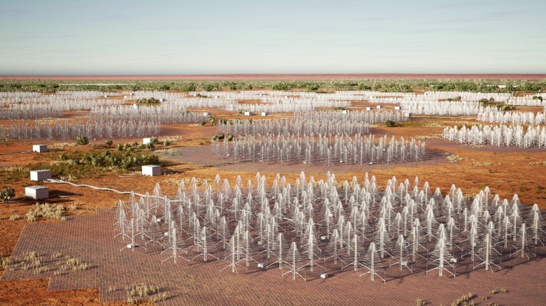 Artists impression of the SKA telescope in Australia