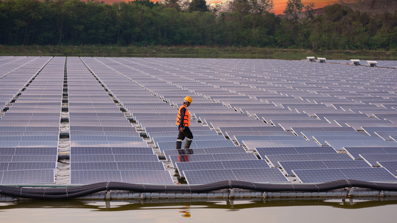 Technician walks on floating solar panels