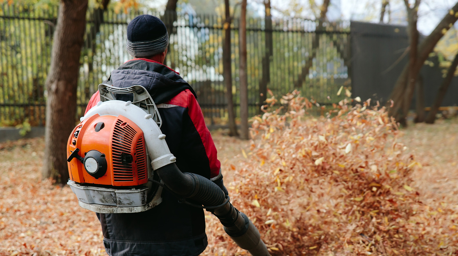 Backpack Vs. Handheld Leaf Blower Which Type Is Better For Your Needs?