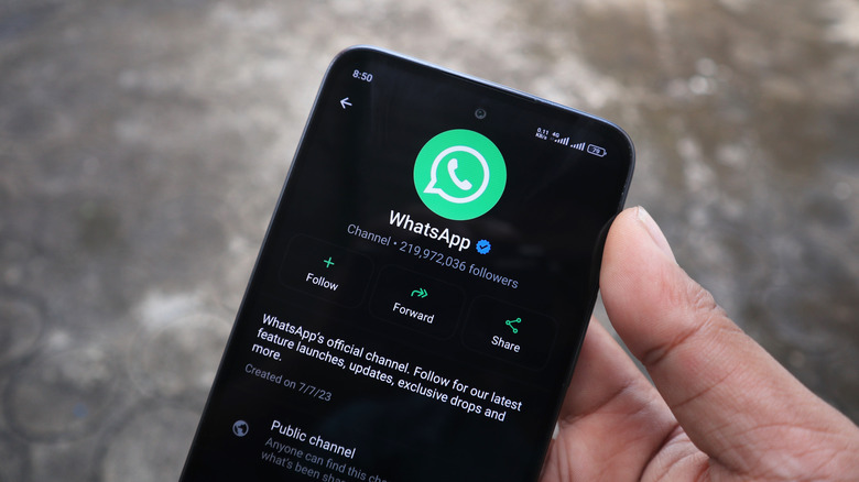 Person using WhatsApp's "Channels" feature introduced in 2023