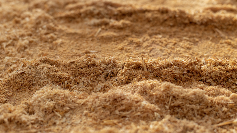 Mound of sawdust
