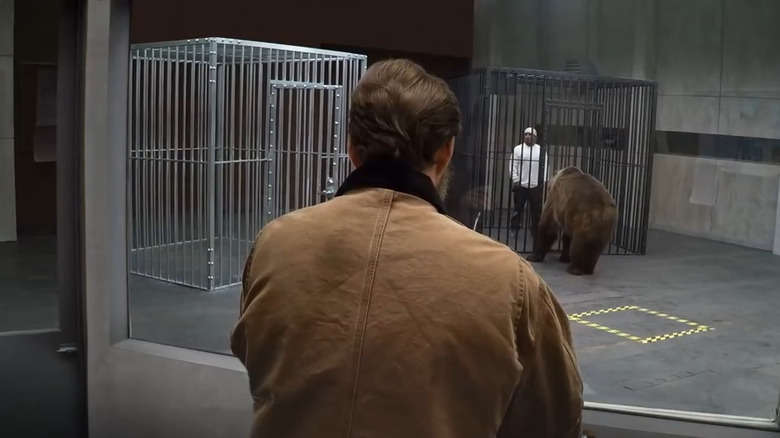 Man hiding in cage form bear