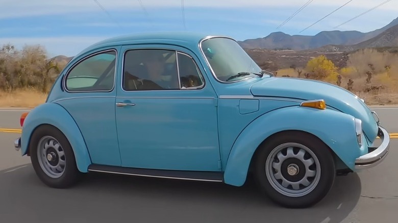 Sleeper Super Beetle