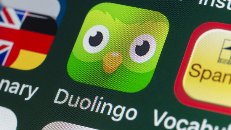Duolingo icon on a smart device