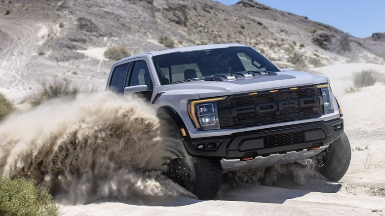 2023 Raptor in the sand