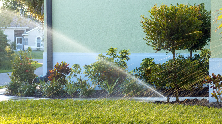 Sprinkler watering lawn and garden