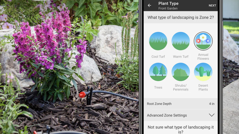 Orbit B-hyve app on phone in front of garden