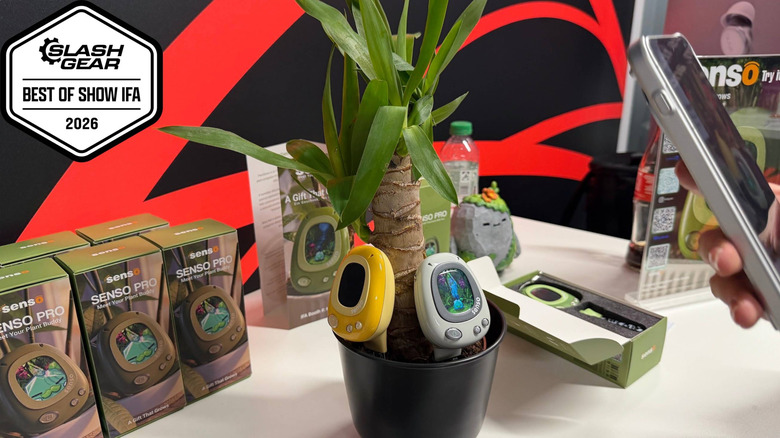 PlantSenso Pro units in a plant pot