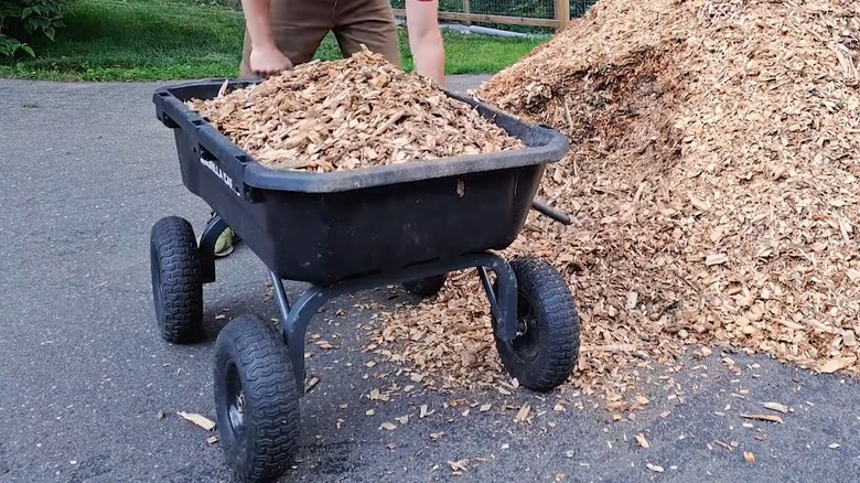 A Man Loading A Gorilla Cart With Mulch Outdoors