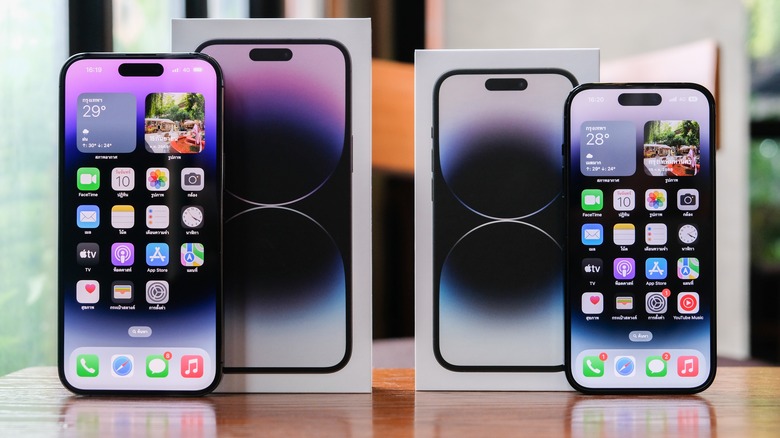 iPhone 14 Pro models