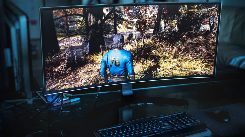 PC running Fallout 76