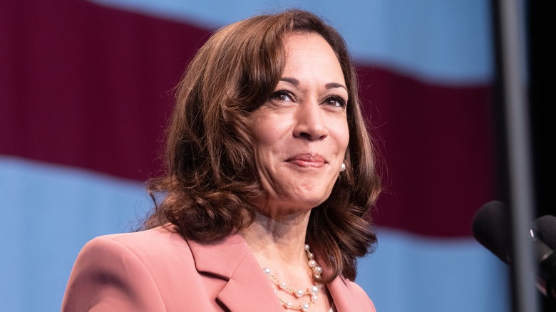 kamala harris meeting with press