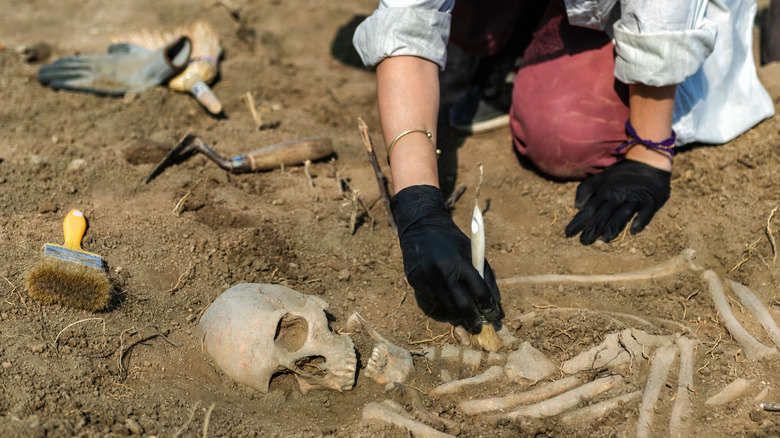 Archeologists examining a skeleton